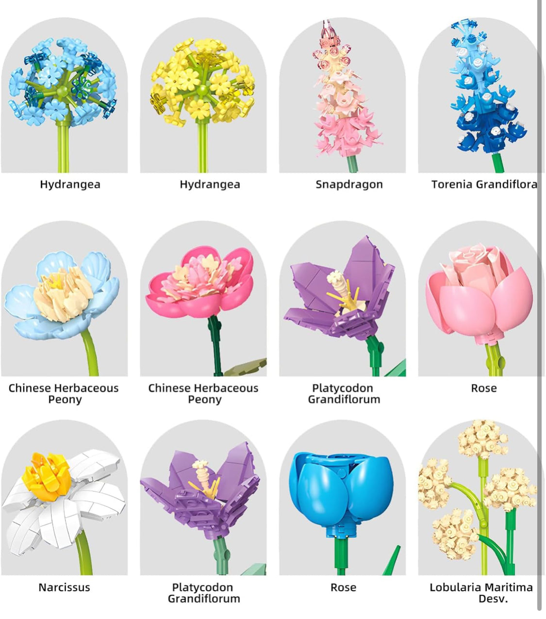 BloomletBrix - Bloomed Maddness